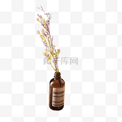 红色的花盆栽图片_透明的花瓶子免抠图