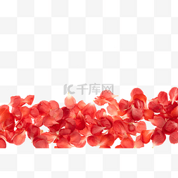 红梅腊梅梅花花瓣装饰