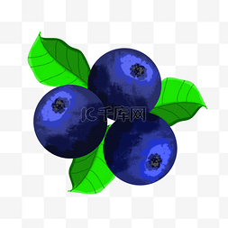 三颗水果图片_三颗新鲜蓝莓