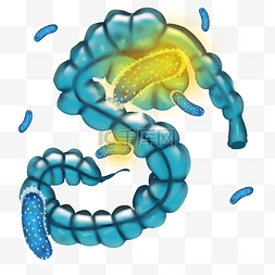 肠道疾病图片_大肠杆菌肠道细菌