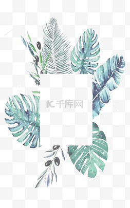 雅致装饰图片_植物夏天装饰绿叶边框