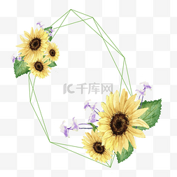 向日葵花朵水彩图片_黄色葵花向日葵边框手绘水彩插画