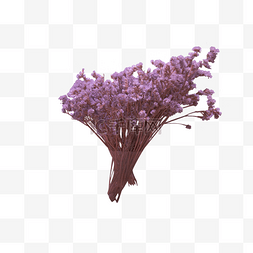 一丝香气图片_彩色植物花朵元素