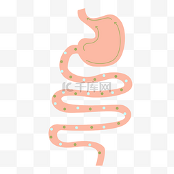 脏空气肠道图片_肠胃肠道