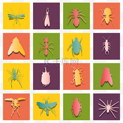 夏季昆虫图标