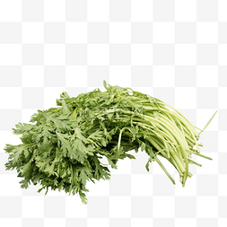 新鲜时蔬字体图片_一把新鲜翠绿的茼蒿菜