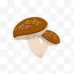 美食配料香菇蘑菇