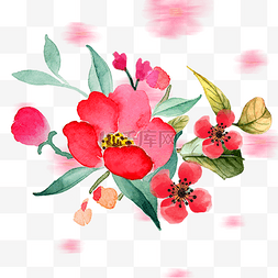 红花手绘绿叶植物