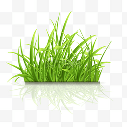 绿色草坪植被图片_草坪草地绿色草地