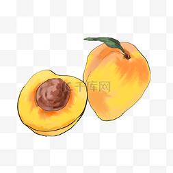 酸甜的杏子水果插图