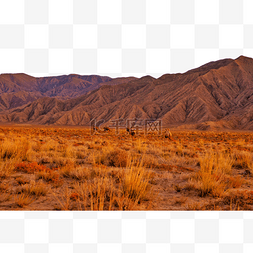 秋天山风景图片_秋天秋季沙漠日落骆驼风景