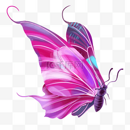 春天颜色艳丽的蝴蝶写实电商免扣
