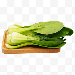 木盘绿色油菜