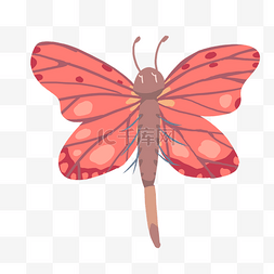 红色蝴蝶翅膀图片_翩翩起舞的红色蝴蝶