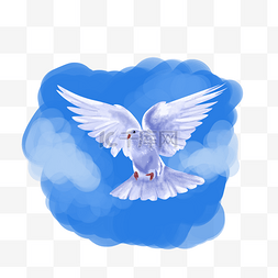 蓝天鸽子图片_飞上天空白鸽