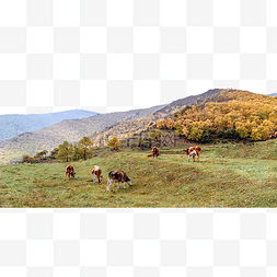 内蒙古山村高山牧场