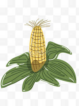 卡通手绘蔬菜玉米图片_手绘黄色一根玉米免扣PNG