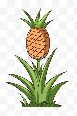 卡通菠萝树装饰插画