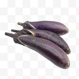 紫色茄子蔬菜