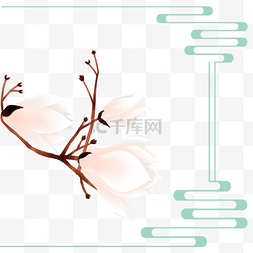 春季花卉木兰树