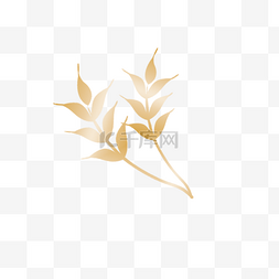 金色麦穗图片_农业麦穗金色logo