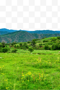 内蒙古大青山山峦溪水绿色景观