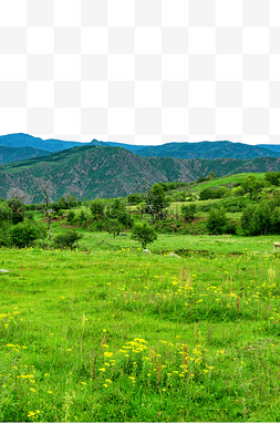 溪水图片_内蒙古大青山山峦溪水绿色景观