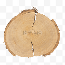 木质圆图片_圆饼木头木质