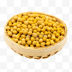 农作物粮食黄豆