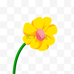 黄色的菊花花瓣图片_黄色的花朵免抠图