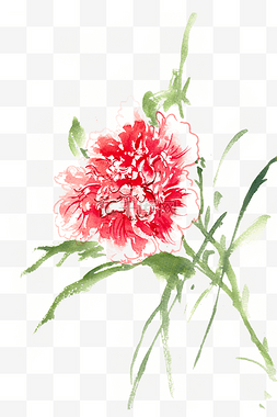 大红色的花卉水彩画