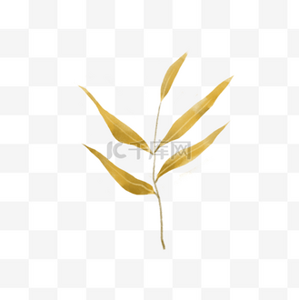 可爱树叶卡通夏秋元素插画柳叶黄