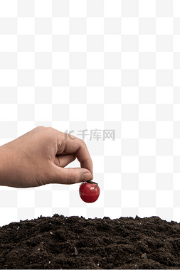 土壤里的根系图片_春季播种种植种子