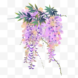 紫藤花树水彩风素材