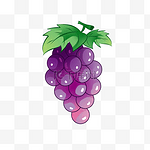 食物水果紫色葡萄