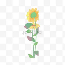 向日葵免扣PNG图图片_植物花卉向日葵