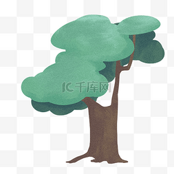 植物树枝叶图片_绿化树植物树木插画