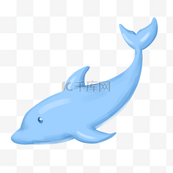 海豚驯养图片_海洋蓝色海豚