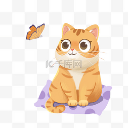 受伤的猫咪图片_猫咪与蝴蝶