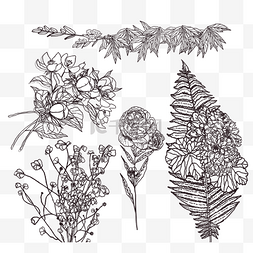 线描手绘花草植物图片_手绘线描花卉元素