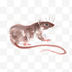 2020鼠年小老鼠