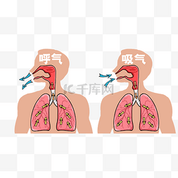 呼吸循环方式