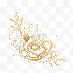 金色玫瑰手绘图片_手绘金线花