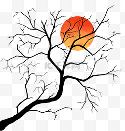 日出的图片_冬天落日下的树枝