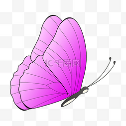 矢量粉色蝴蝶