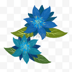 蓝色花图片_蓝色的花