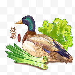 北京烤鸭素材图片_绿头鸭水彩