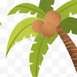 绿色的果实图片_绿色的椰子树免抠图