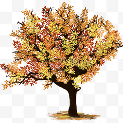 金黄色秋天的树插画元素