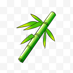 浅绿色的粗壮竹节
